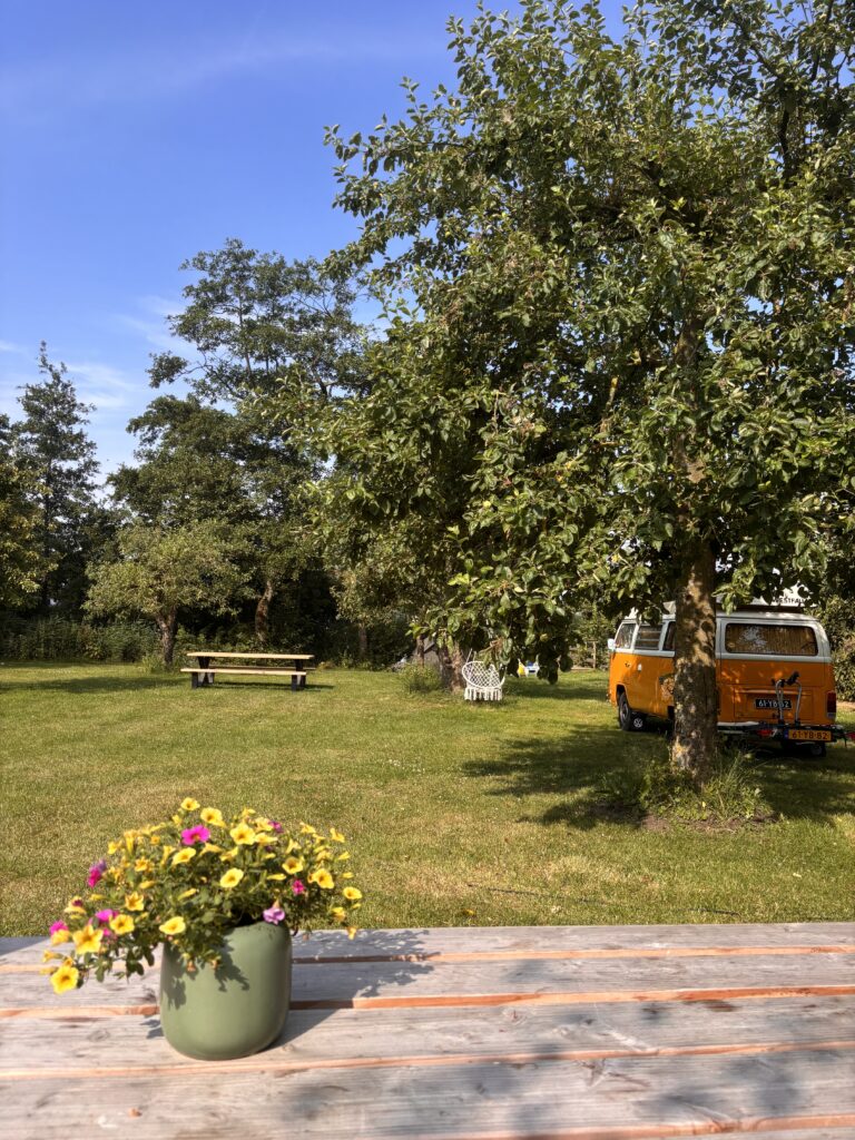 hiddema-state-freyaslan-camping57