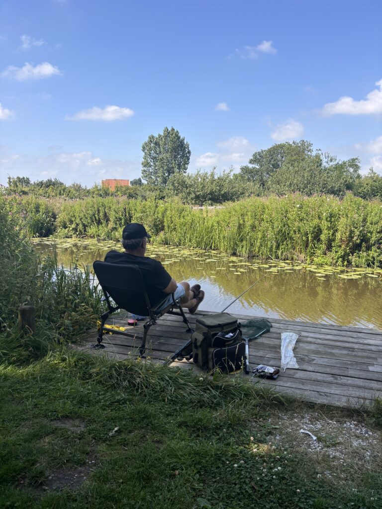hiddema-state-wettergrun-camping31